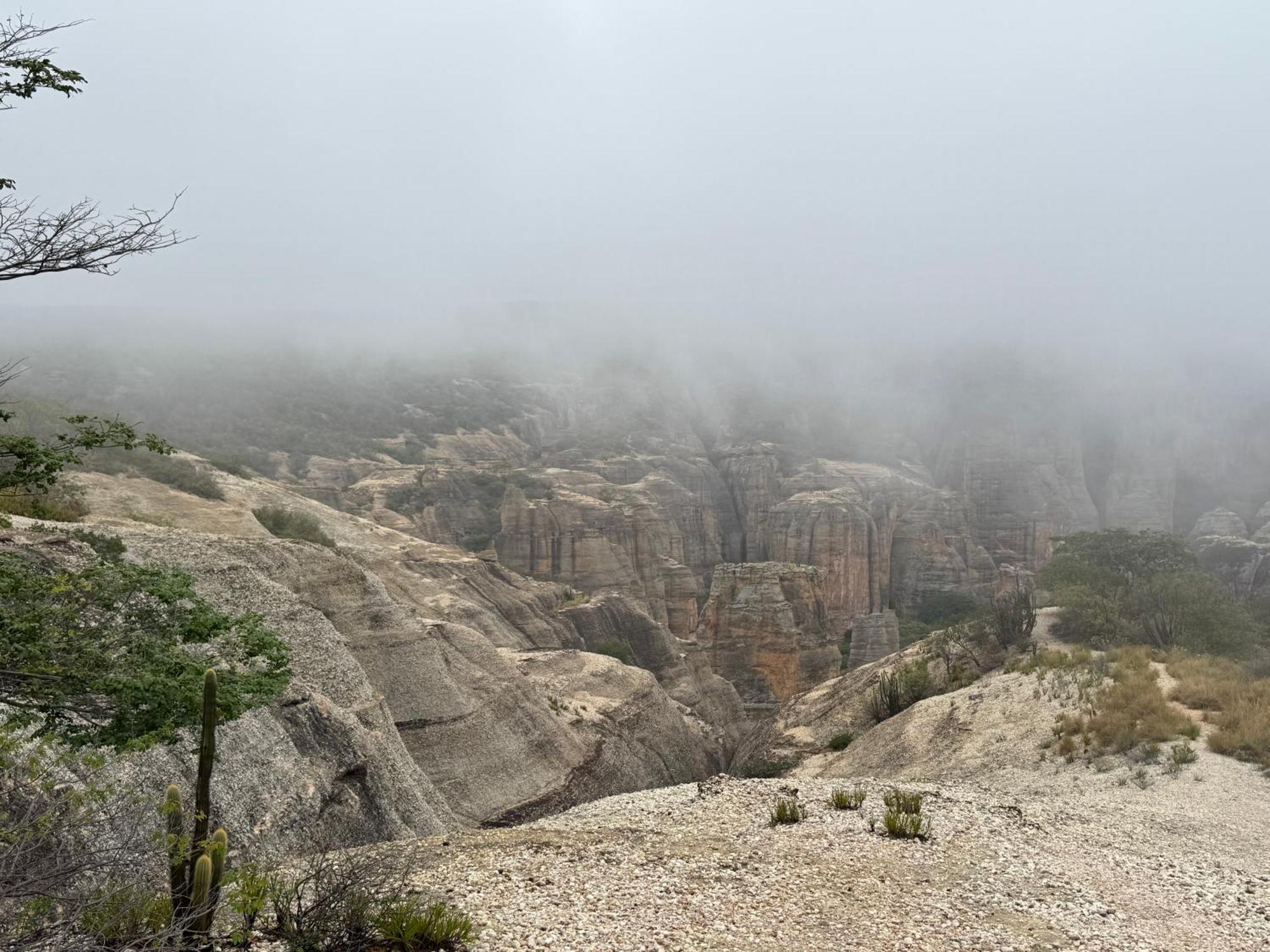 Casa Barreirinho Parque Nacional Serra Da Capivara Coronel Jose Dias Exterior foto